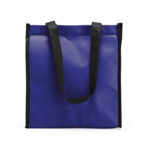 BOLSA TÉRMICA 12L
