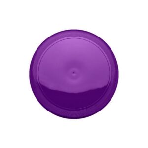 FRISBEE PLÁSTICO